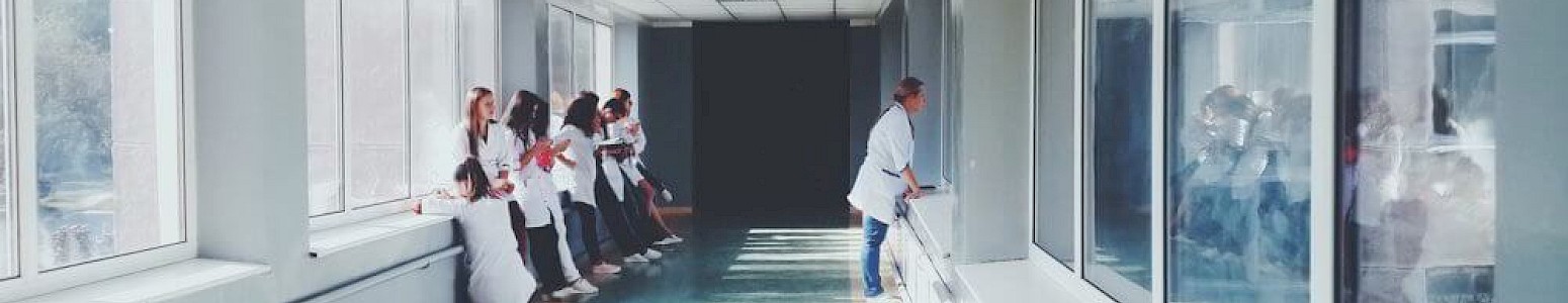 class='img-fluid'
